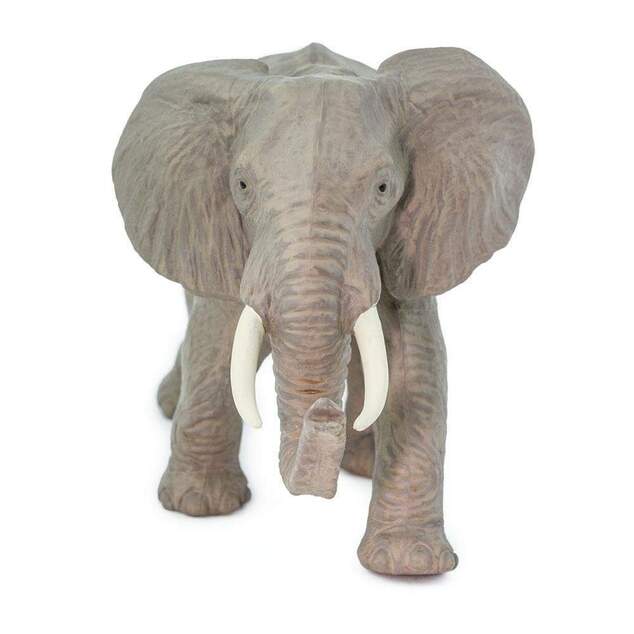 Safari® Slon Africký