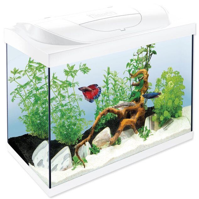 Aquarienset Tetra Starter Line LED weiß 61x32x51cm 80l