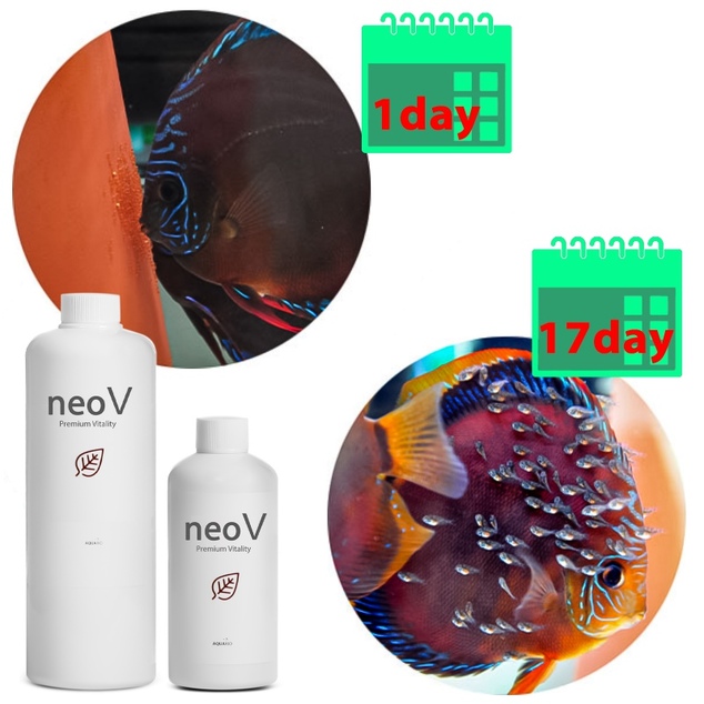 Neo V 300 ml