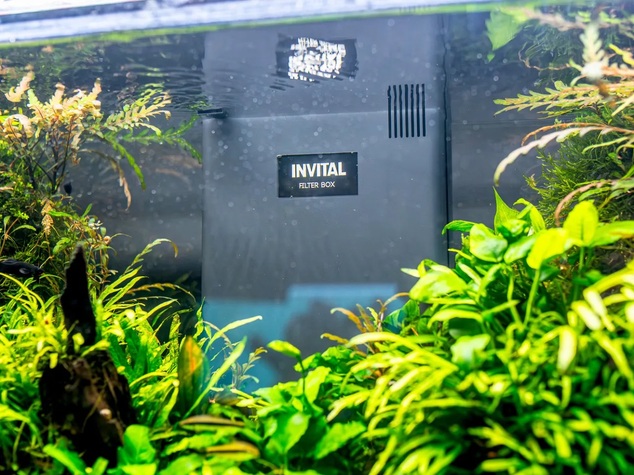 INVITAL Biocase filter 435 l/h vnútorný biofilter