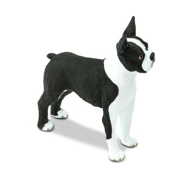 Safari® Boston terrier