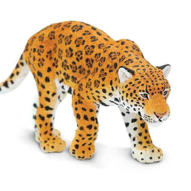 Safari® Jaguár