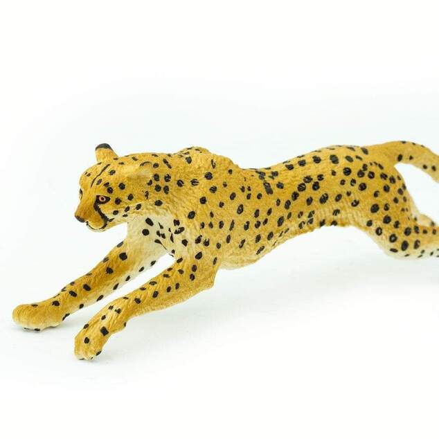 Safari® Bežiaci gepard