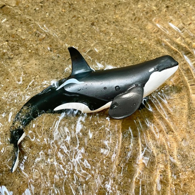 Safari® Orca typ D