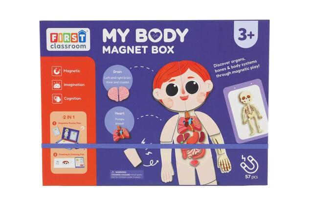 Puzzle magnetico corpo umano