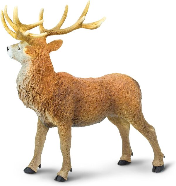Safari® Jeleň červený