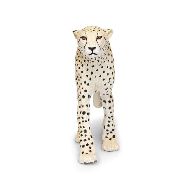 Safari® Gepard
