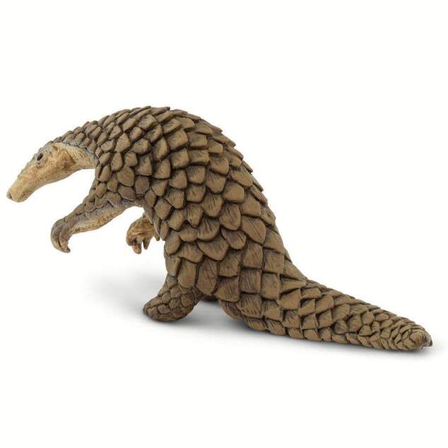 Safari® Pangolín