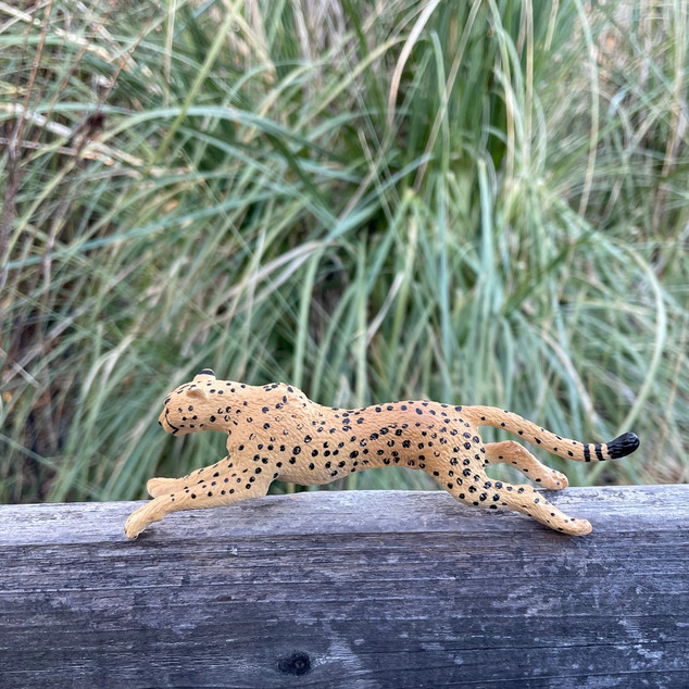 Safari® Bežiaci gepard