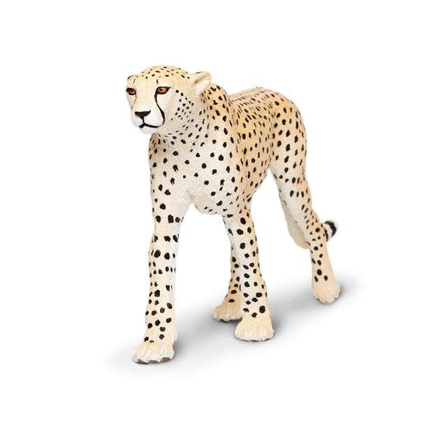 Safari® Gepard