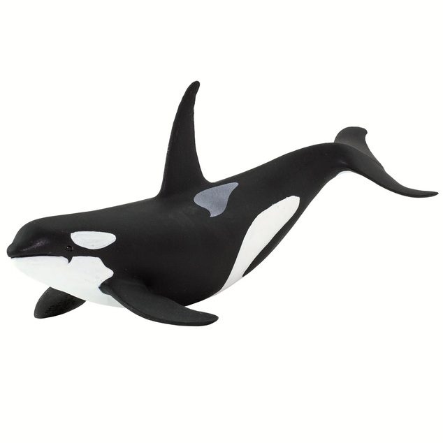 Safari® Orca