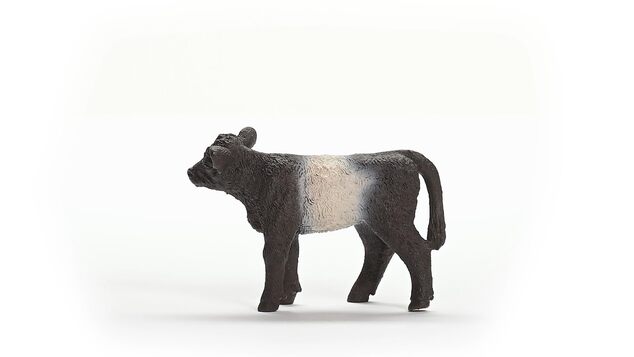 Schleich Gallowayské teľa