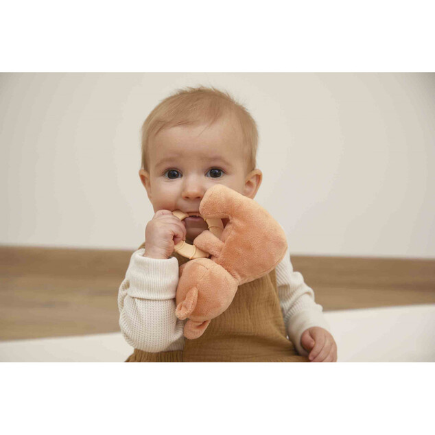 Kaloo Grignoti Giocattolo di peluche per neonati con dentaruolo Scoiattolo