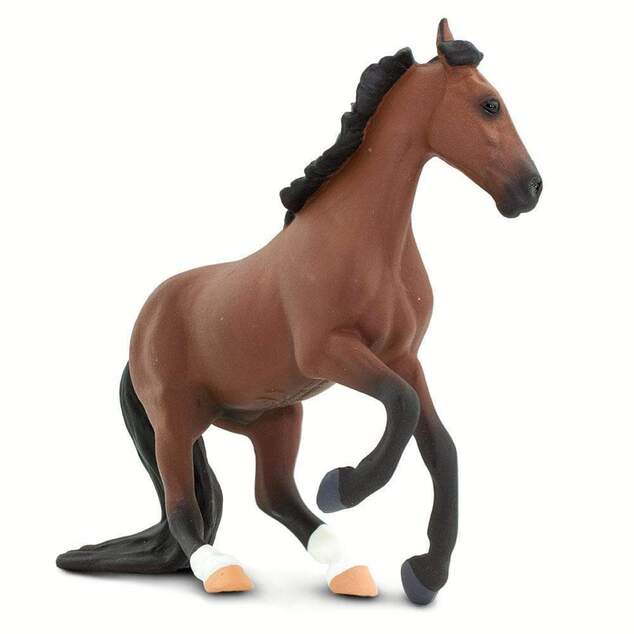 Safari® Plnokrvník kôň