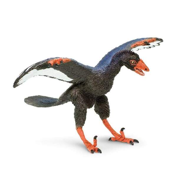 Safari® Archaeopteryx dinozaur