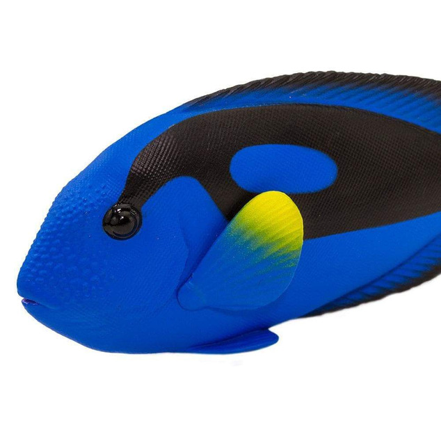 Safari® Ryba modrý tang