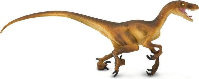 Safari® Velociraptor dinosaurus