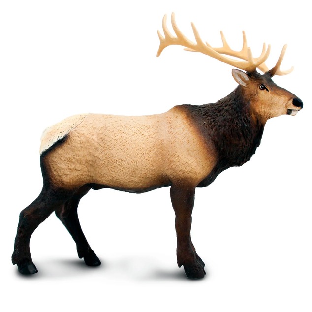Safari® Jeľeň Wapit
