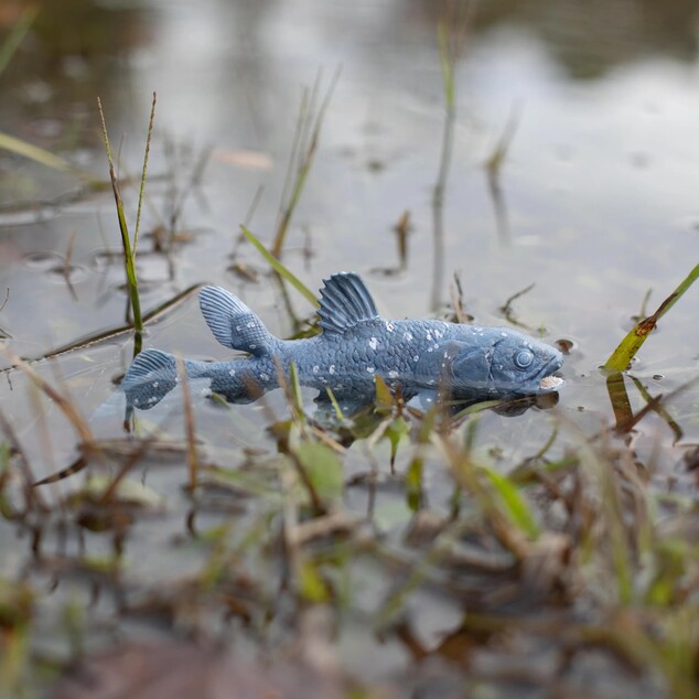 Safari® Coelacanth prehistorická ryba