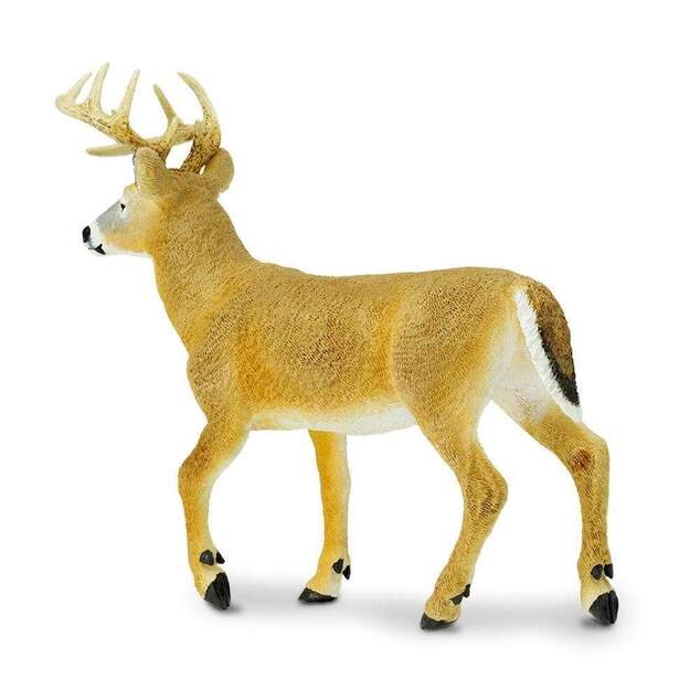Safari® Jelen bielochvostý XL