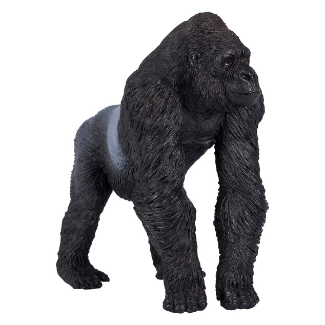 Gorilla maschio Mojo Silverback