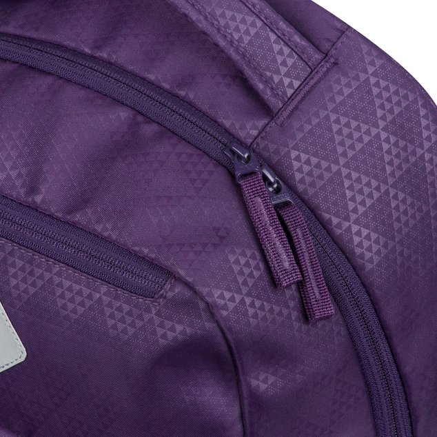 BAAGL Školski ruksak Coolmate Plum