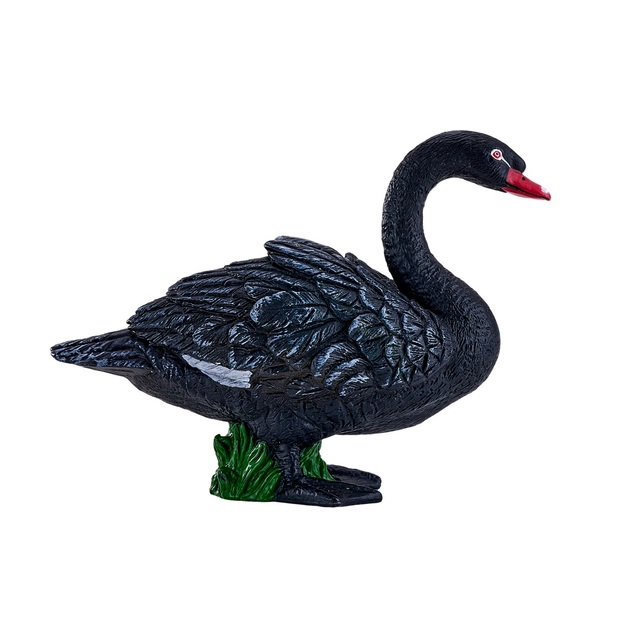 Mojo Cygne noir