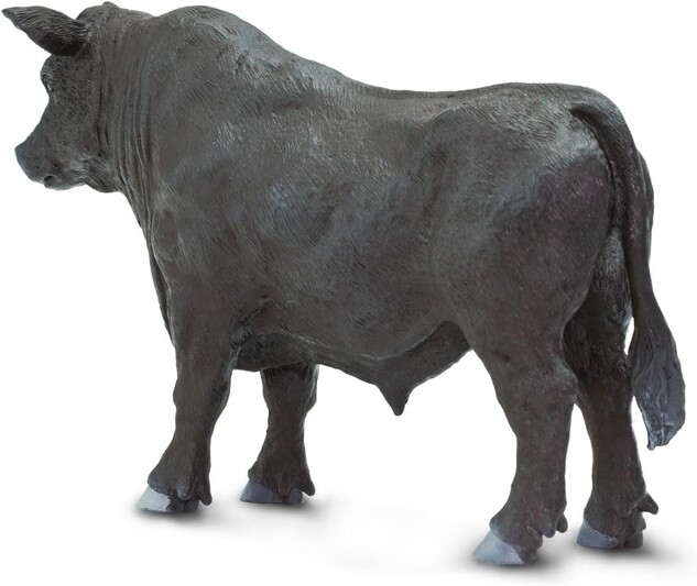 Safari® Býk Angus