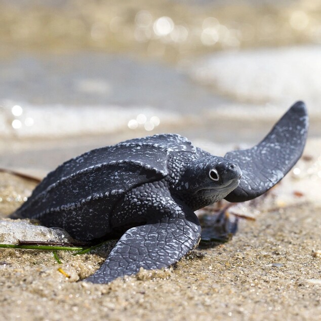 Safari® Kožatá korytnačka