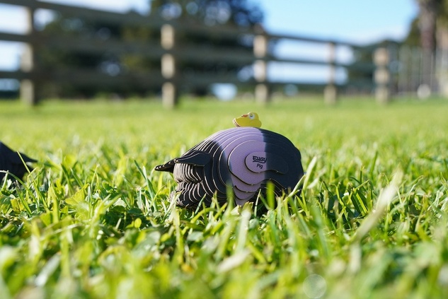 EUGY 3D Pappschwein Puzzle