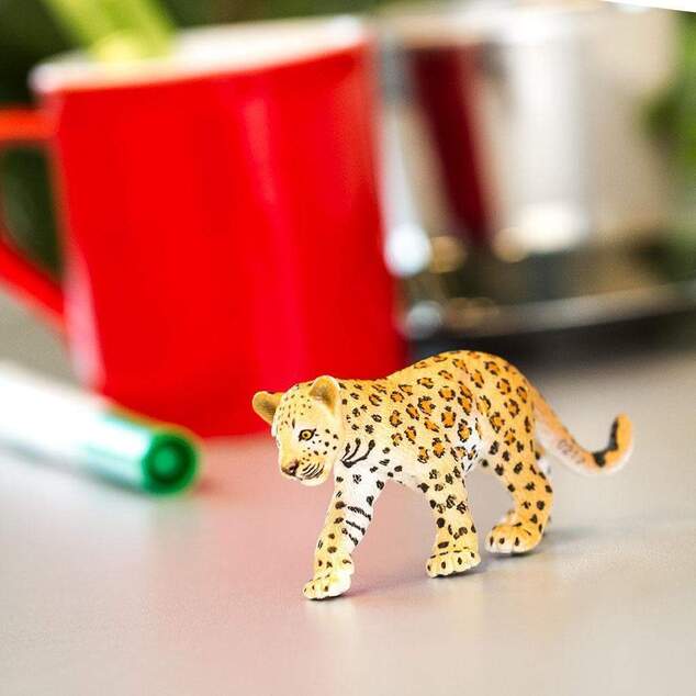 Safari® Mláďa leoparda
