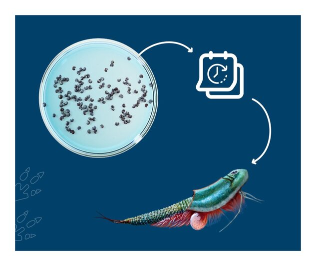 Triops World - vita preistorica