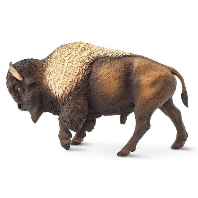 Safari® Bizón