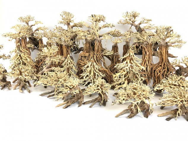 Bonsai Driftwood 40 x 30 x 33 cm No.100