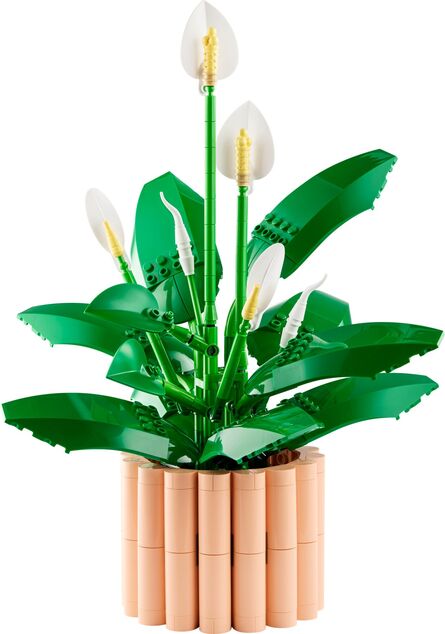 LEGO® Botanicals 11504 Lopatkovec