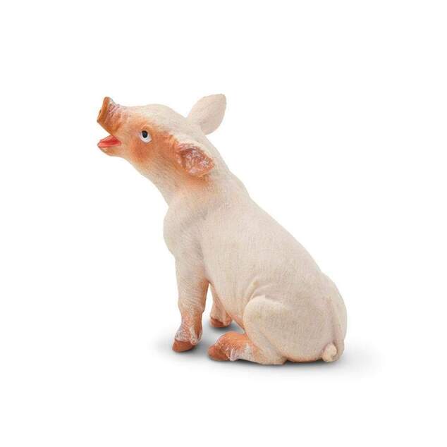 Safari® Mláďa ošípanej