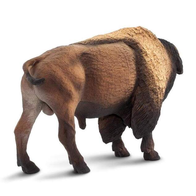 Safari® Bizón americký