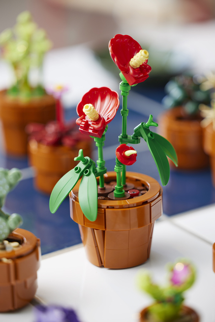 LEGO® Botanicals 10329 Miniatúrne rastliny