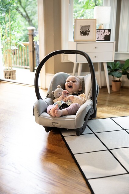 INGENUITY Kus maznania Cozy Lovey – Nate™ 0m+