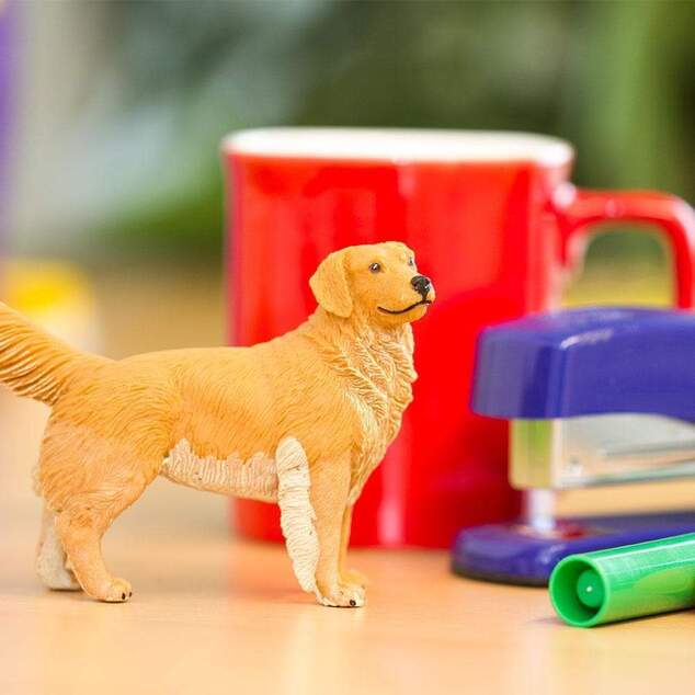 Safari® Zlatý retriever