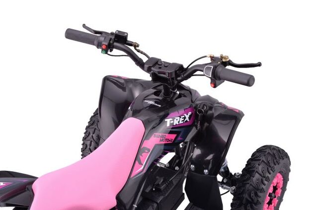 Elektrická štvorkolka pre deti Beneo Motors T-REX ružová - 1300W
