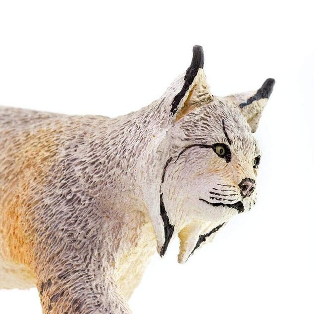Safari® Kanadischer Luchs