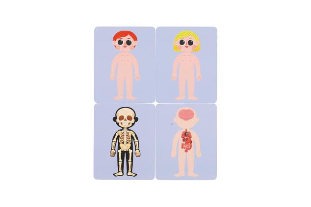 Puzzle magnetico corpo umano