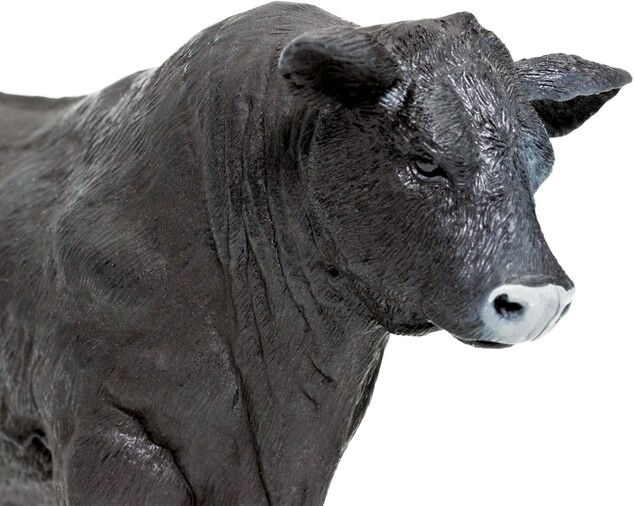 Safari® Býk Angus