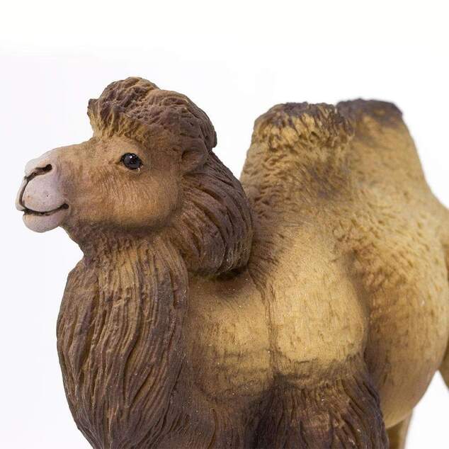 Safari® Бактрийска камила