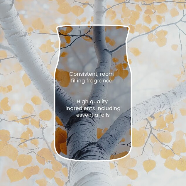 YC Signature Kerze Klein Silver Birch