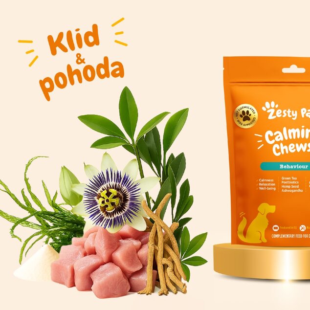 Zesty Paws Calming Chews (60 ks) – funkčný doplnok stravy pre psov na pokoj a pohodu