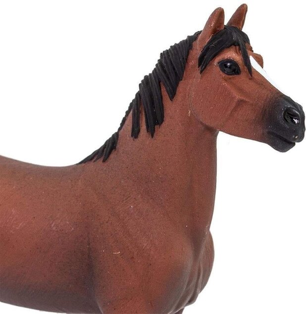 Safari® Morganský kôň