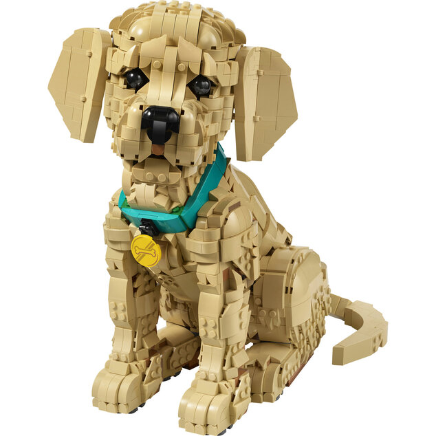 LEGO® Icons 11384 Šteňa zlatého retrievera