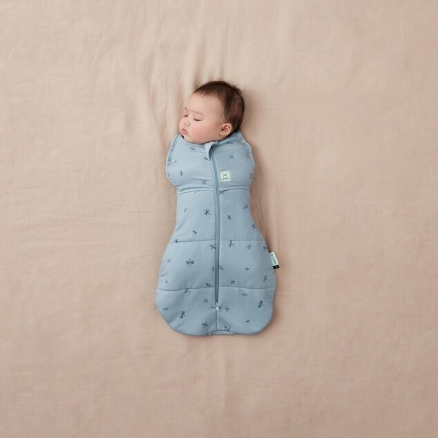 ERGOPOUCH Zavinovačka a vak na spaní 2v1 Cocoon Dragonflies 0-3 m, 3-6 kg, 2,5 tog